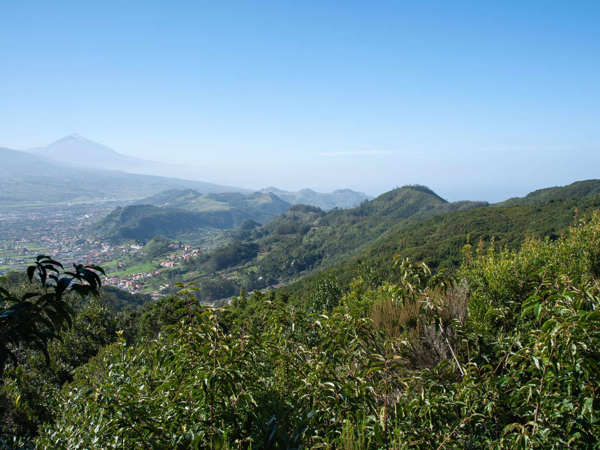 Udsigt til Anaga bjergene på Tenerife. Foto Viktors Farmor