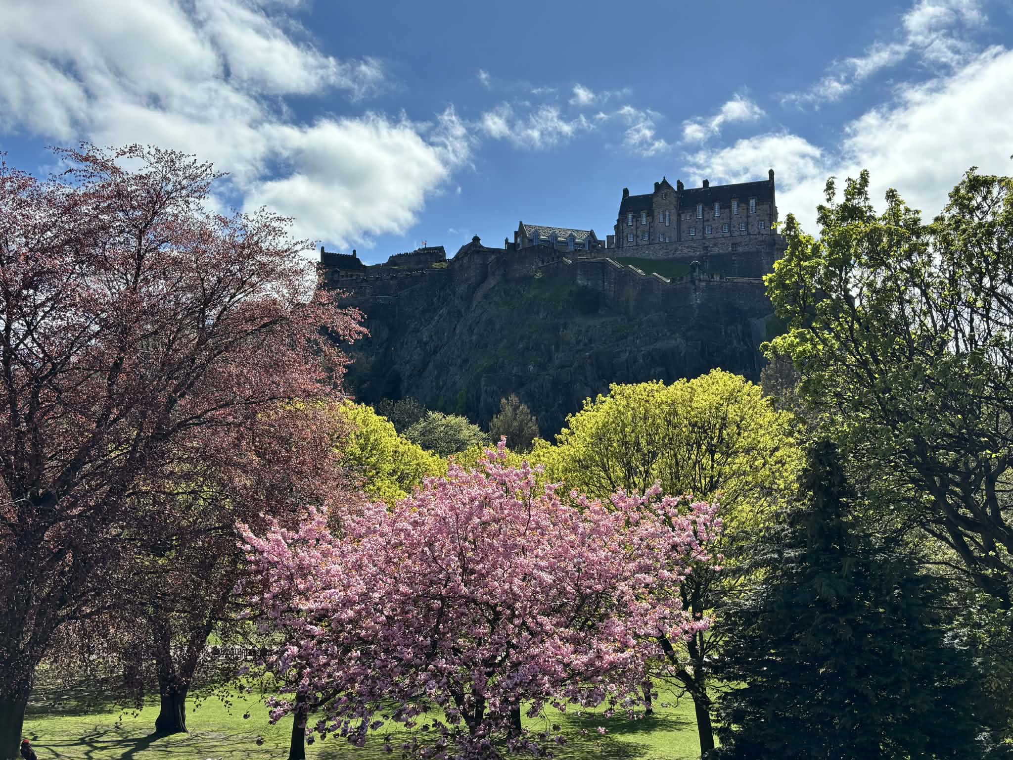 Foråret i Edinburgh med udsigt til slottet, der troner over byens grønne parker. Foto Maor Shimon
