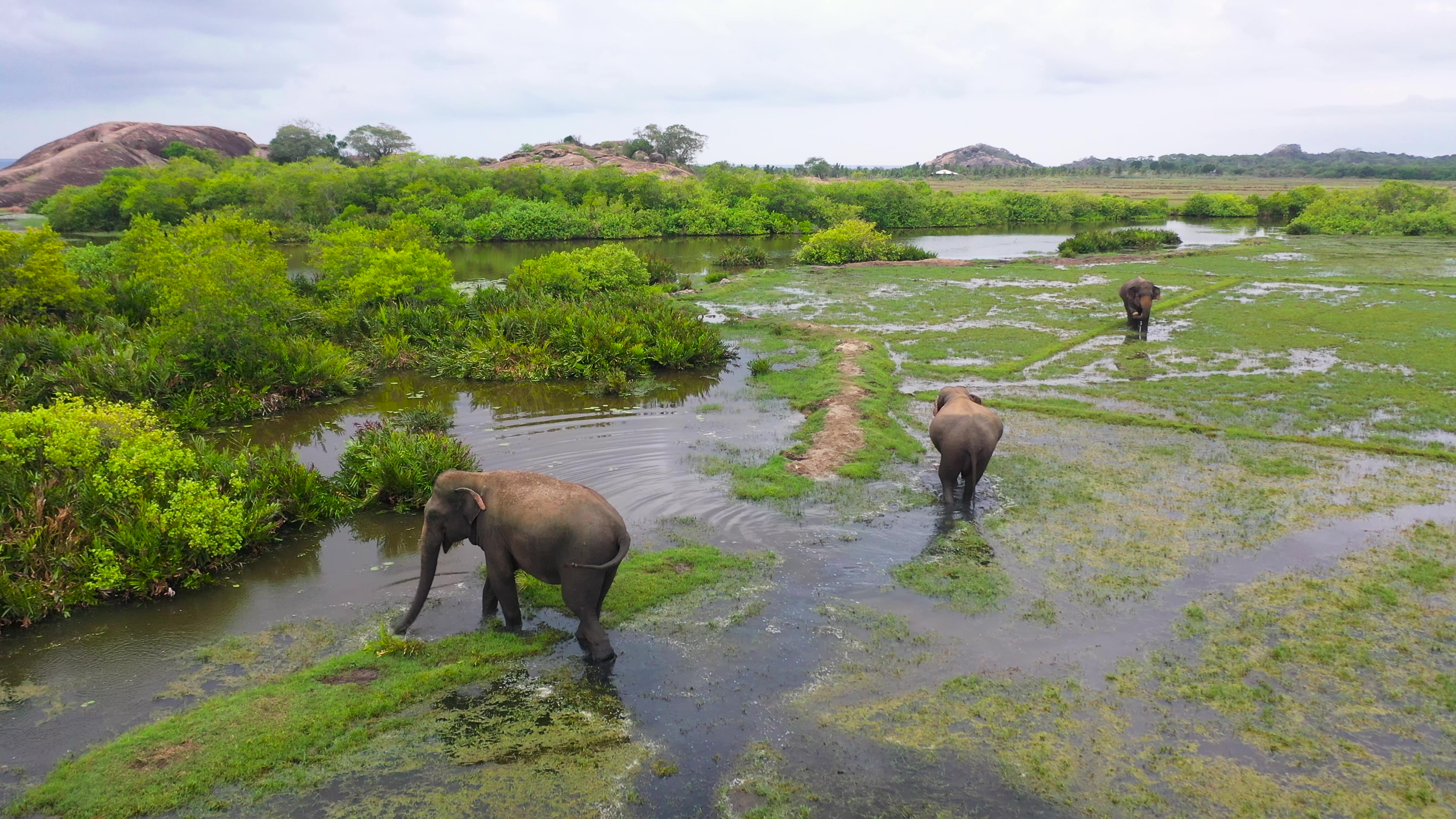 Sri Lanka
