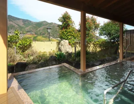 Vi bor på et dejligt 3-stjernet hotel i japansk stil, beliggende i byen Yugawara. Foto Viktors Farmor