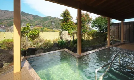 Vi bor på et dejligt 3-stjernet hotel i japansk stil, beliggende i byen Yugawara. Foto Viktors Farmor