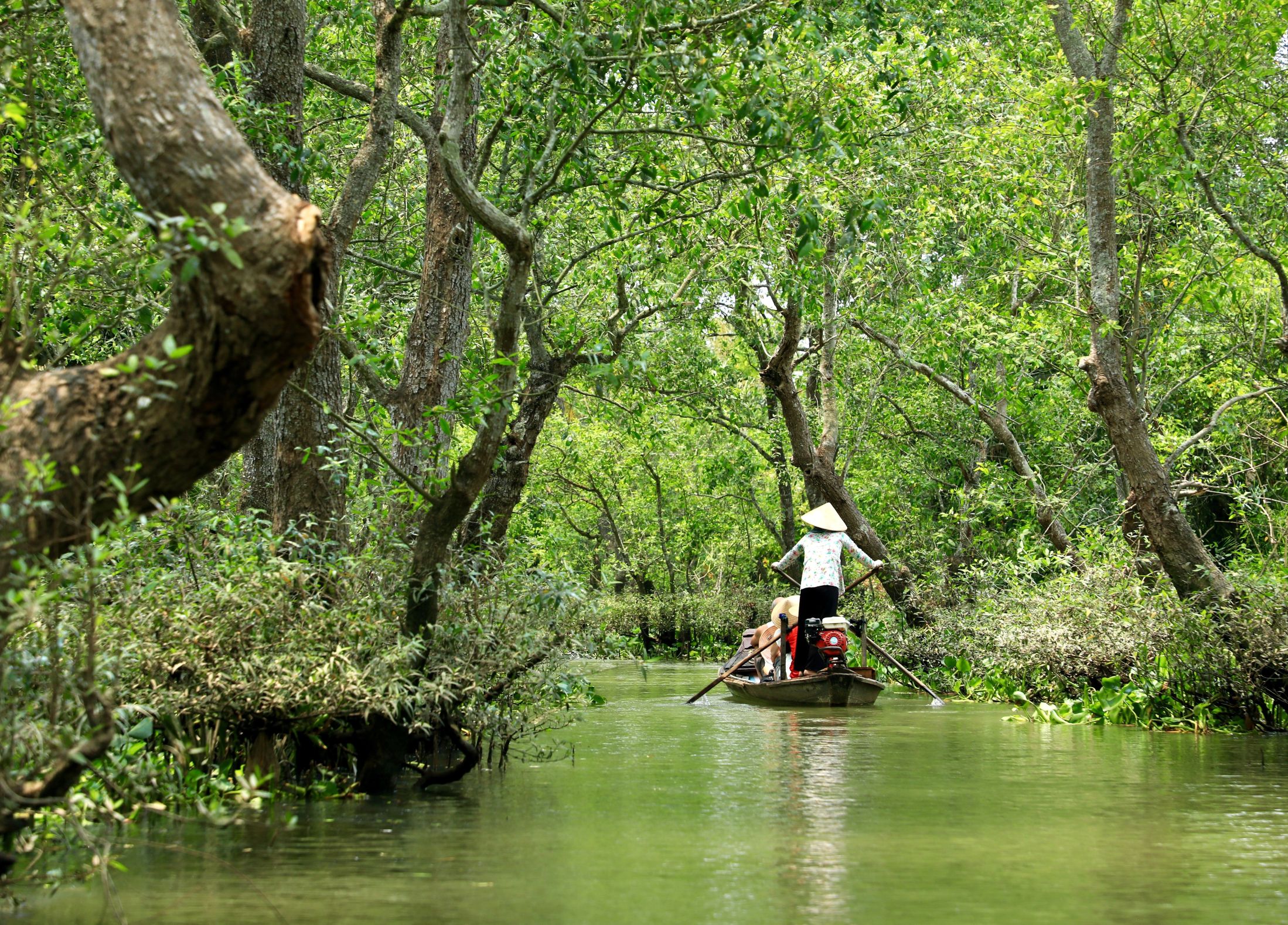 Sejlads på de små kanaler i Mekong-deltaet. Foto af Anders Stoustrup