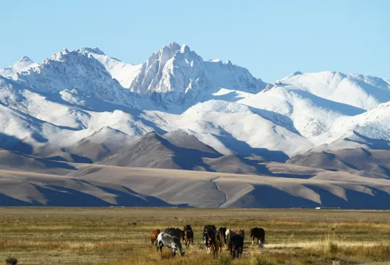 Storslåede bjergkæder præger udsigterne i Kirgisistan. Foto Finn Ladefoged