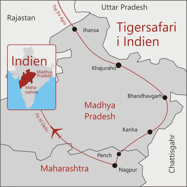 Indien - tigersafari - Delhi - Khajuraho - Bhandhavgarh - Kanha - Pench - Nagpur