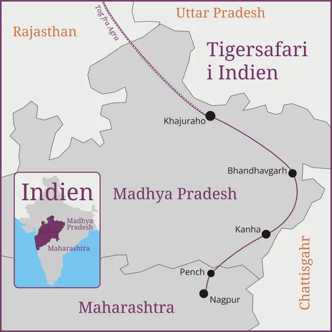 Indien - tigersafari - Delhi - Khajuraho - Bhandhavgarh - Kanha - Pench - Nagpur