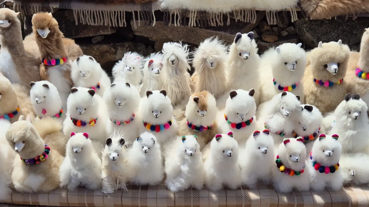 Hvem har ikke lyst til at tage en llama med hjem. Foto Henrik Bjerresø