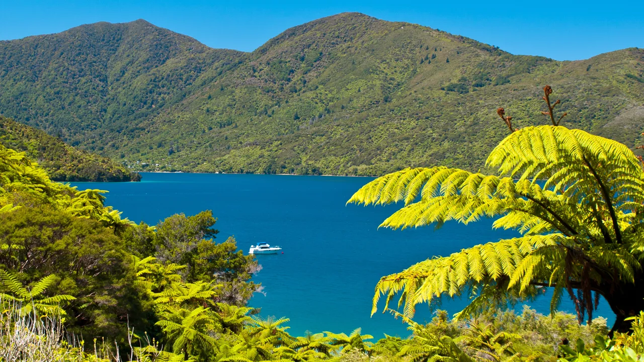 Vi har to overnatninger ved det smukke Marlborough Sounds. Foto Viktors Farmor