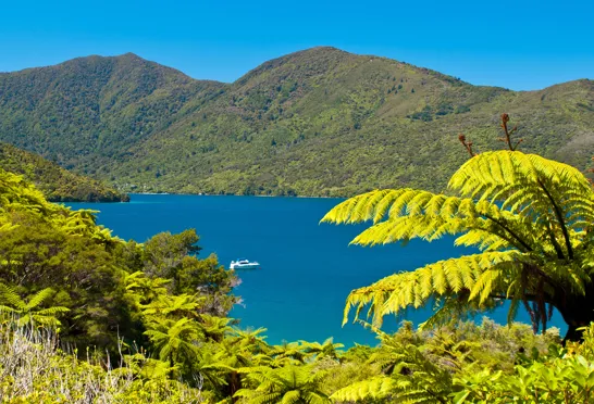 Vi har to overnatninger ved det smukke Marlborough Sounds. Foto Viktors Farmor