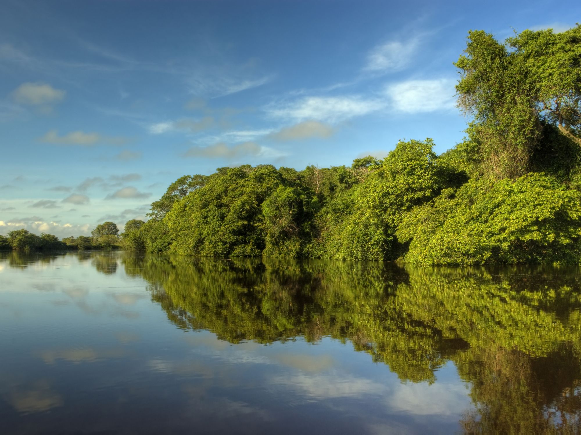 Verdens største tropiske vådområde Pantanal. Foto Viktors Farmor