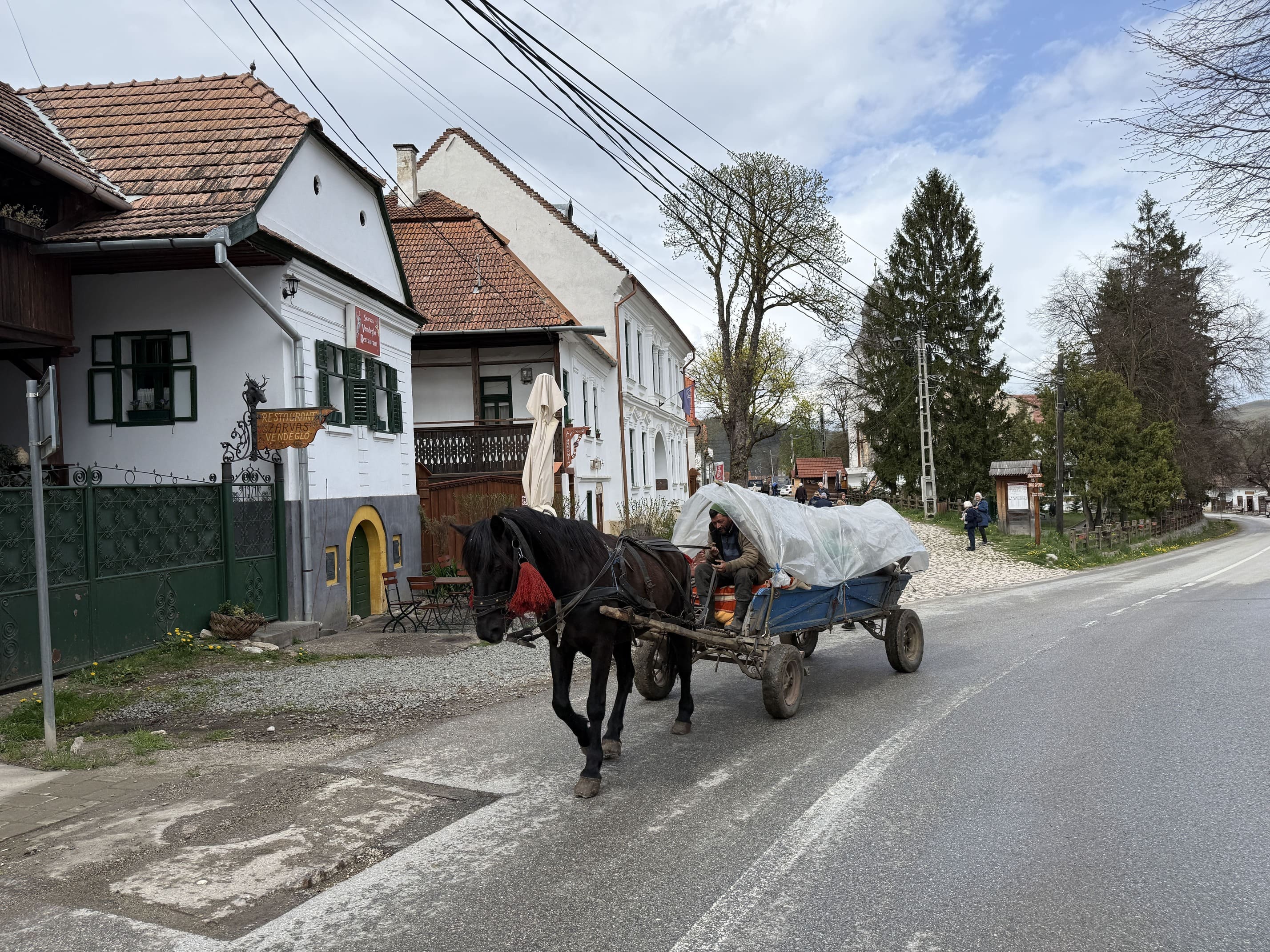 Det er ikke unormalt at støde ind i en hestevogn, når vi besøger små landsbyer i Bukovina. Foto Josefine Aude Raas