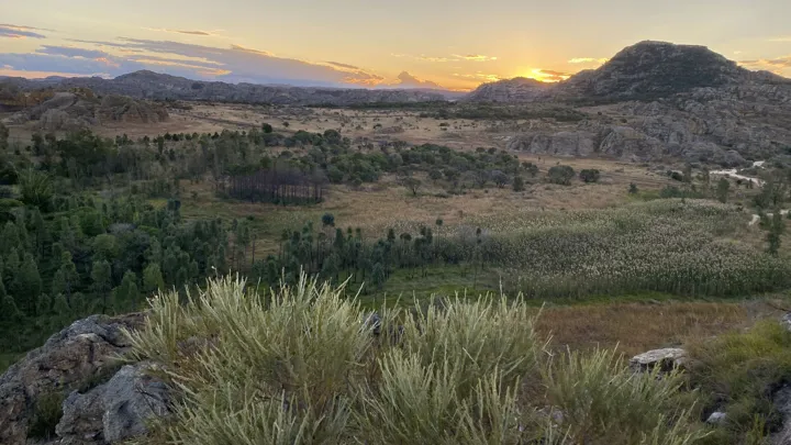 Om aftenen kan vi nyde en fortryllende solnedgang over isalo bjergmassivet. Foto Michael Høeg Andersen