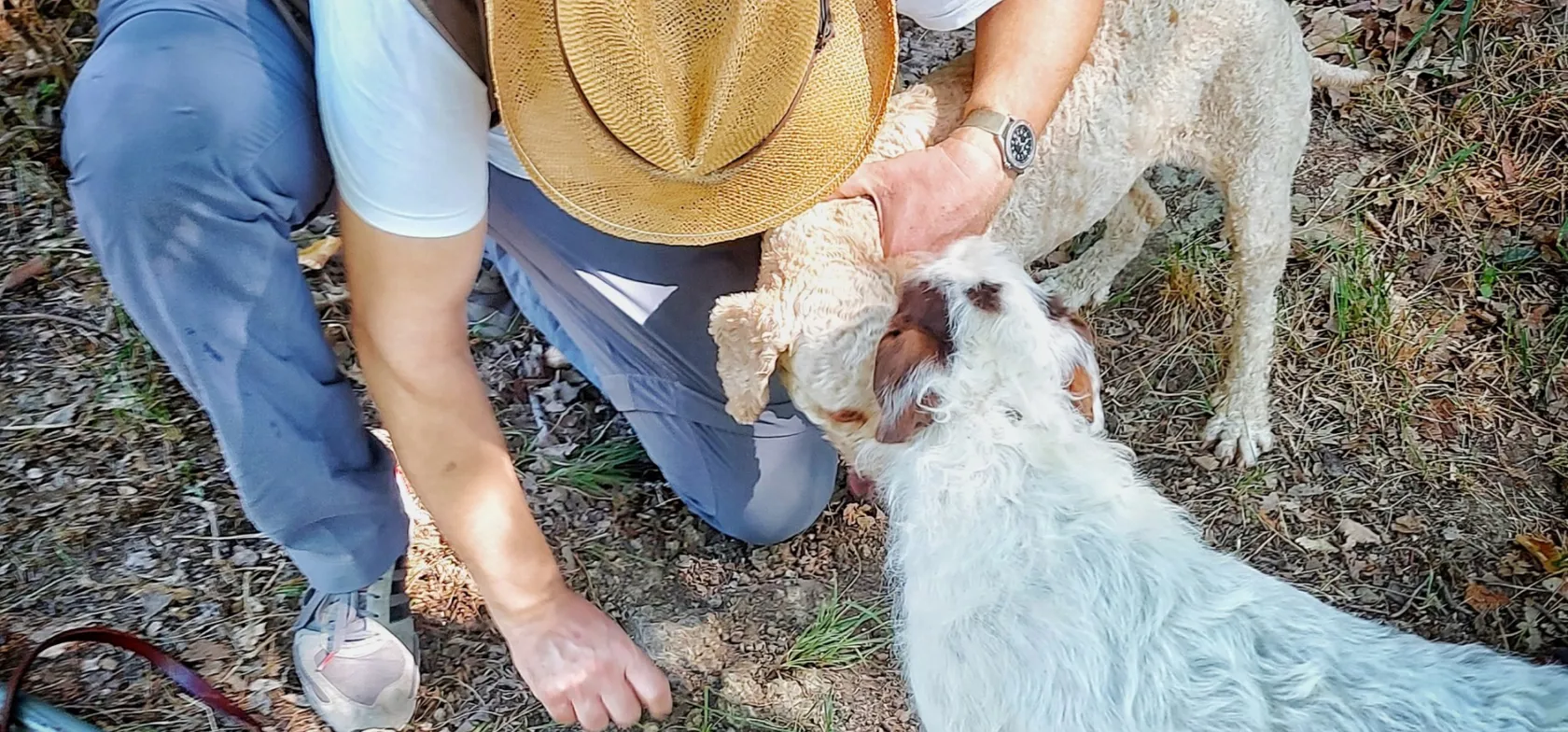 Trøffeljæger med trøffelhund. Foto Lene Brøndum