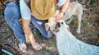 Trøffeljæger med trøffelhund. Foto Lene Brøndum