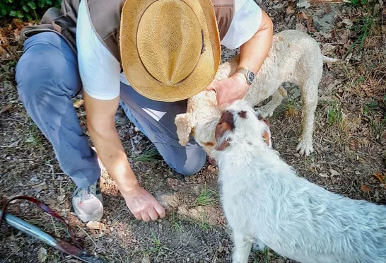 Trøffeljæger med trøffelhund. Foto Lene Brøndum