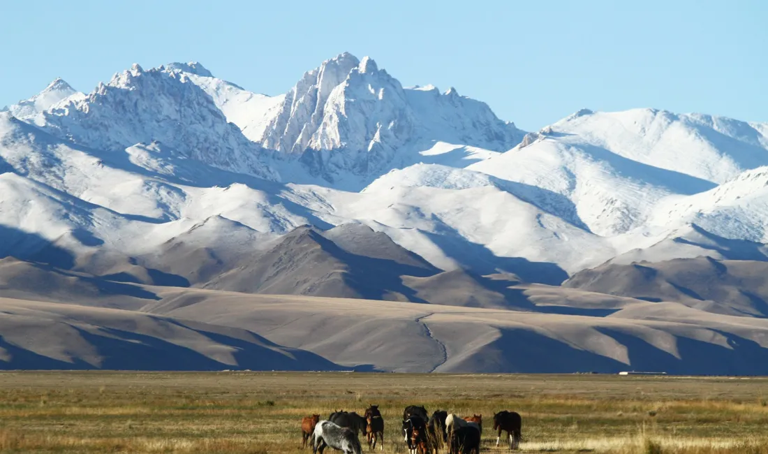 Kirgisistan har en umådelig stor naturrigdom med både høje bjerge og flade græsstepper. Foto Finn Ladefoged