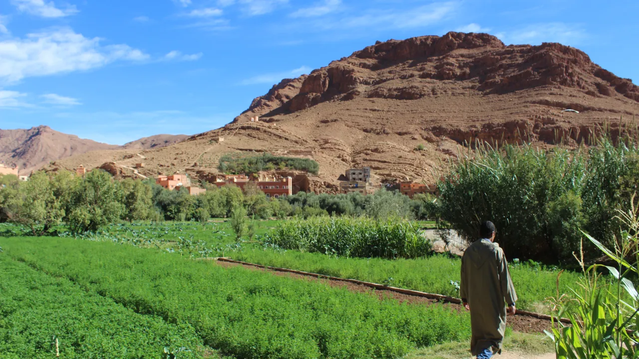 Vandring ved en smuk oase. Foto Marlene Kristensen