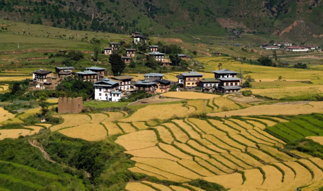 Vi oplever de idylliske landskaber og den traditionelle arkitektur i det østlige Bhutan.
