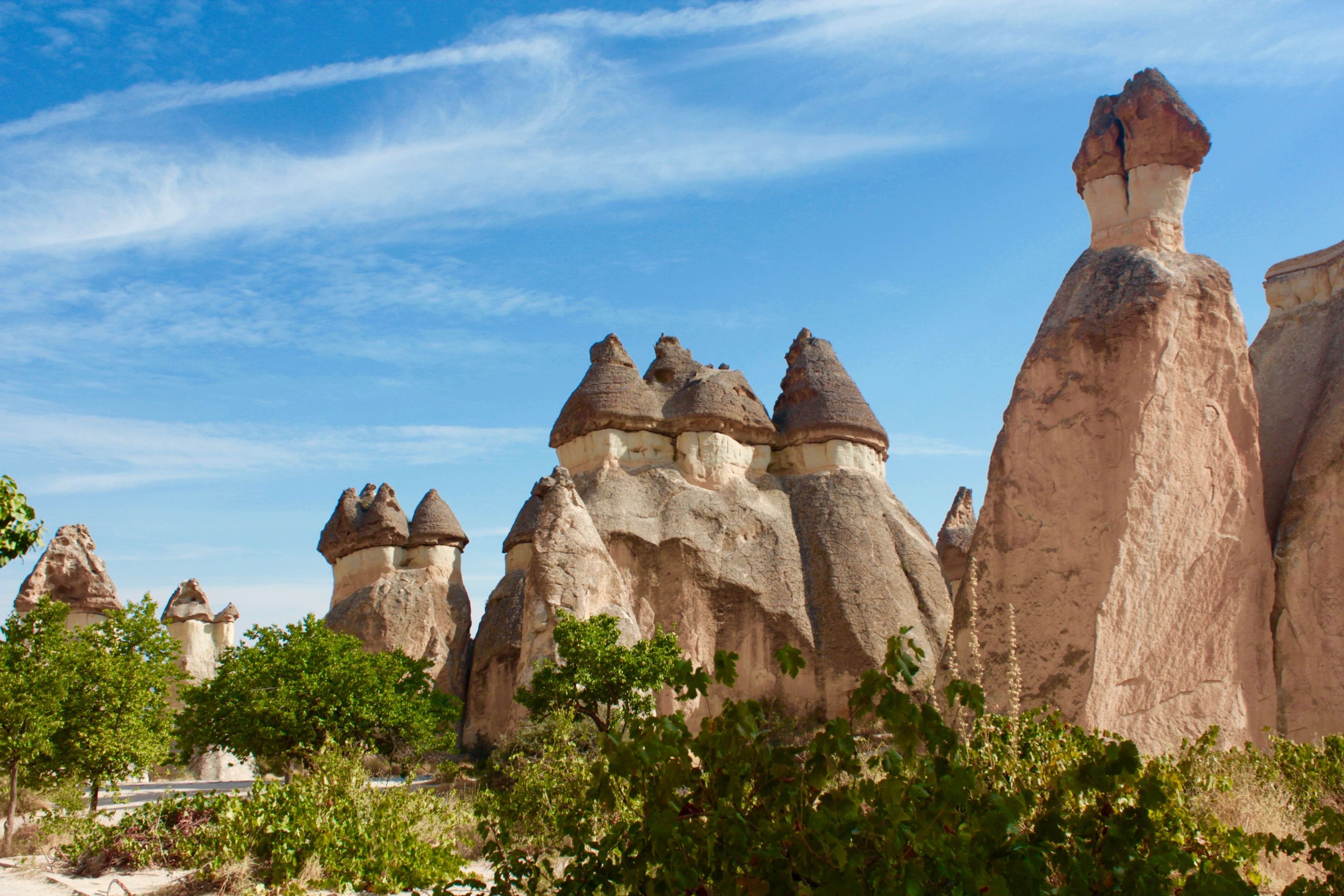 Helt specielle klipper i Munkedalen. Foto Tea Tougaard