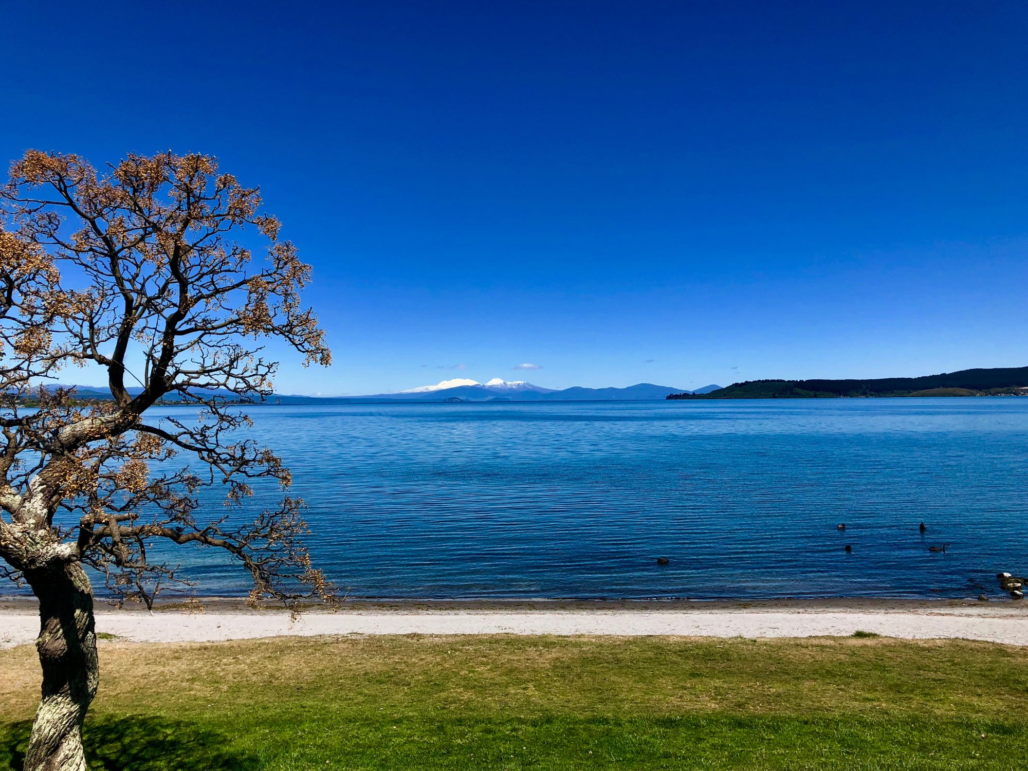 Lake Taupo. Foto Viktors Farmor