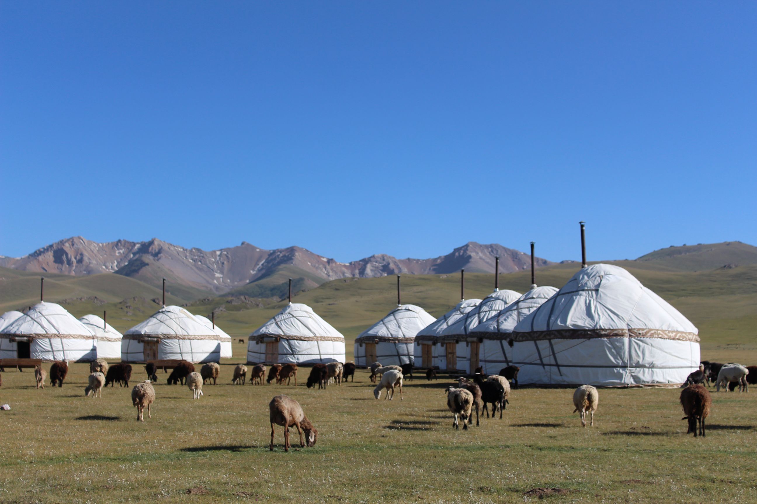 Vi bor i jurter, telte af filt, to forskellige steder på rejsen. Foto Marlene T. Kristensen