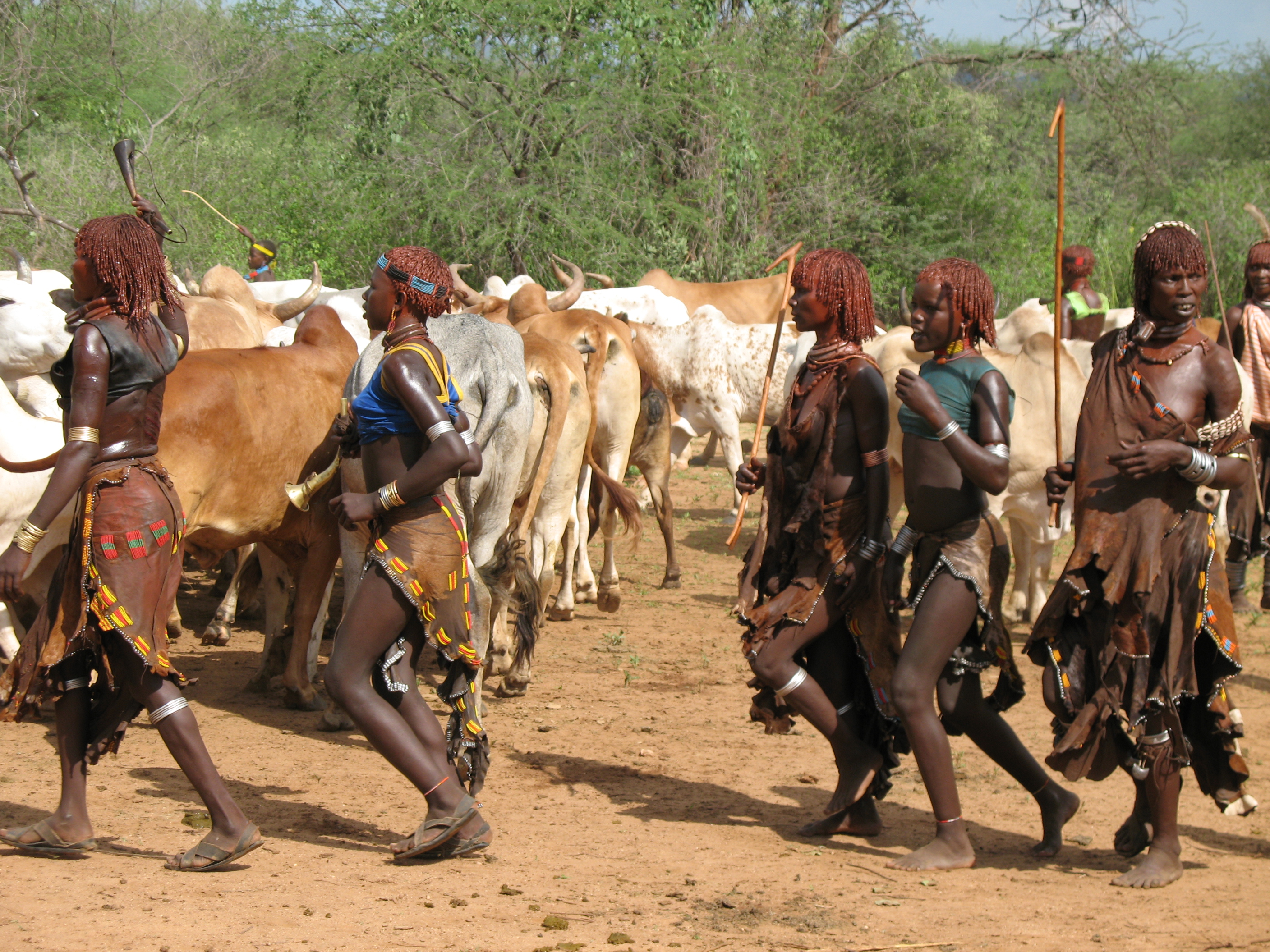 Hamar- og Karo-stammerne er kvægbrugere. Foto Erik Holm