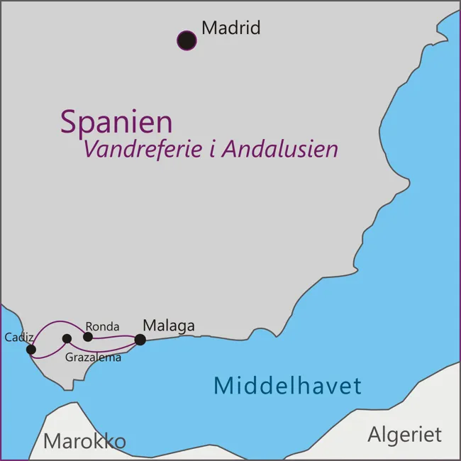 Spanien Andalusien Malaga - Grazalema - Sevilla - Ronda