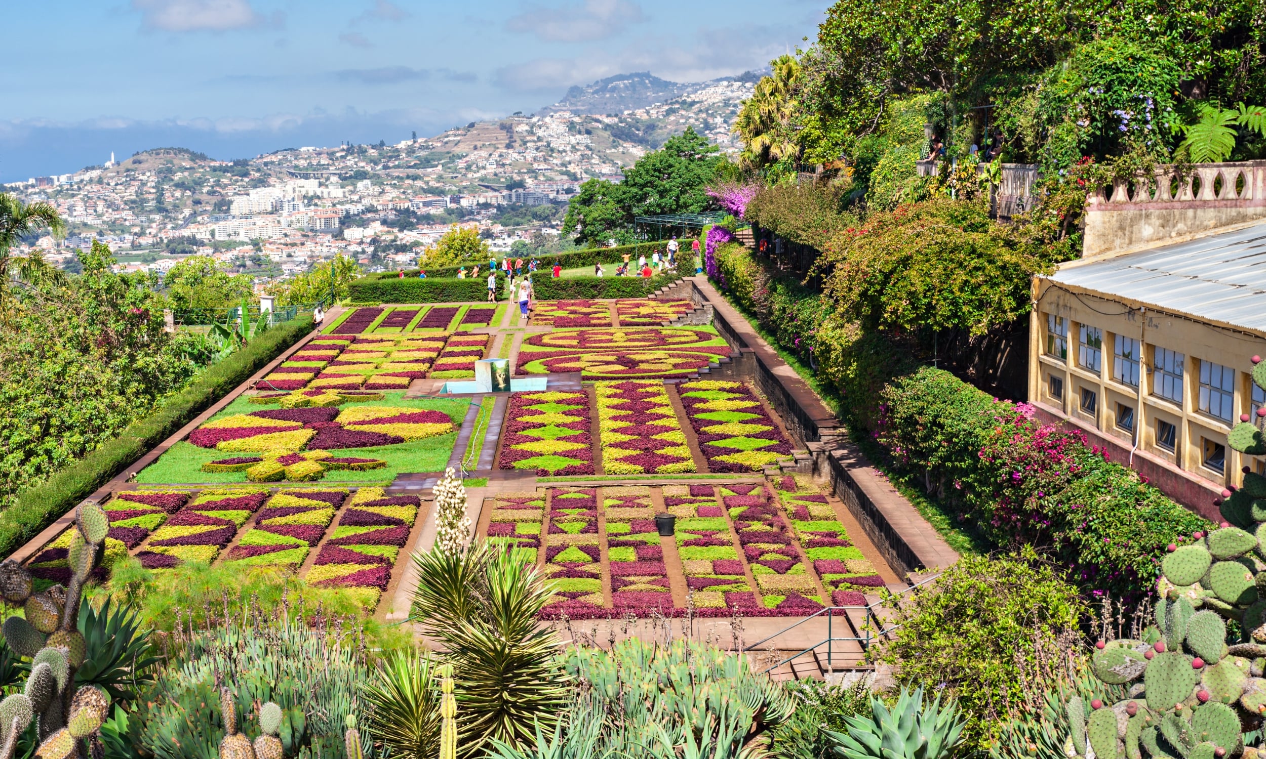 Vi bliver klogere på Madeiras flora, når vi besøger Jardim Botanico. Foto Viktors Farmor