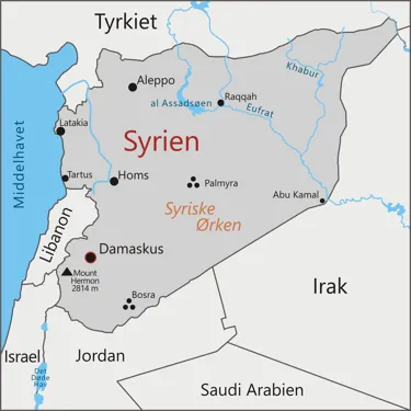 Syrien - Damaskus - Aleppo - Homs - Palmyra - Bosra