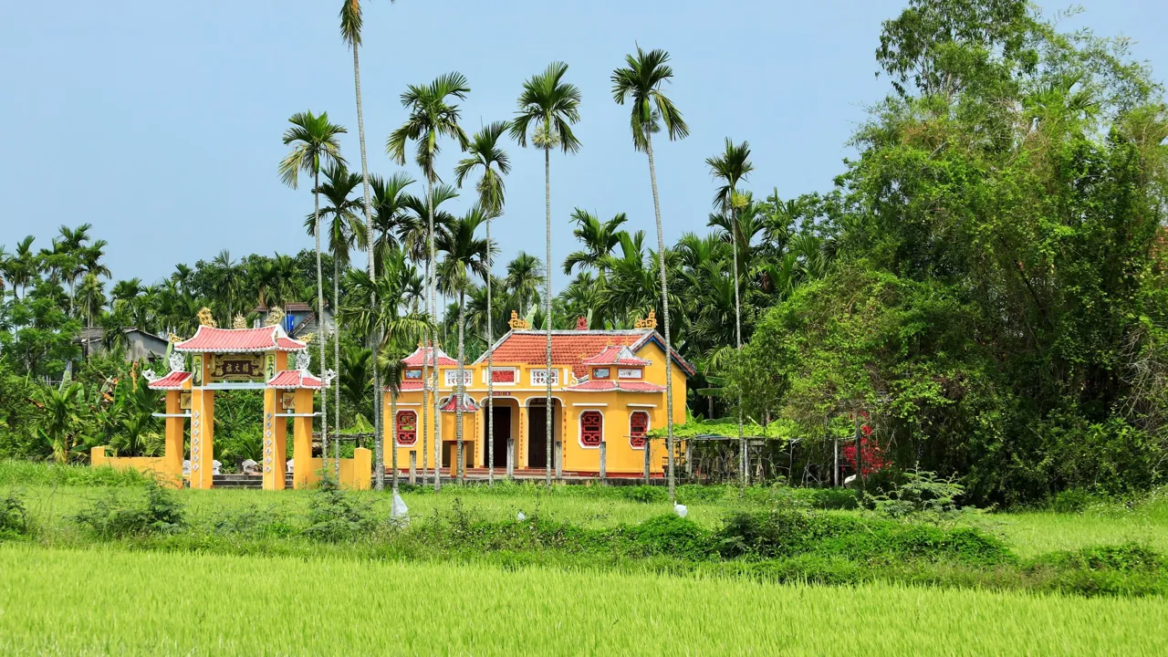 Cykeltur mellem rismarkerner udenfor Hoi An. Foto af Anders Stoustrup