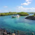 Galapagos