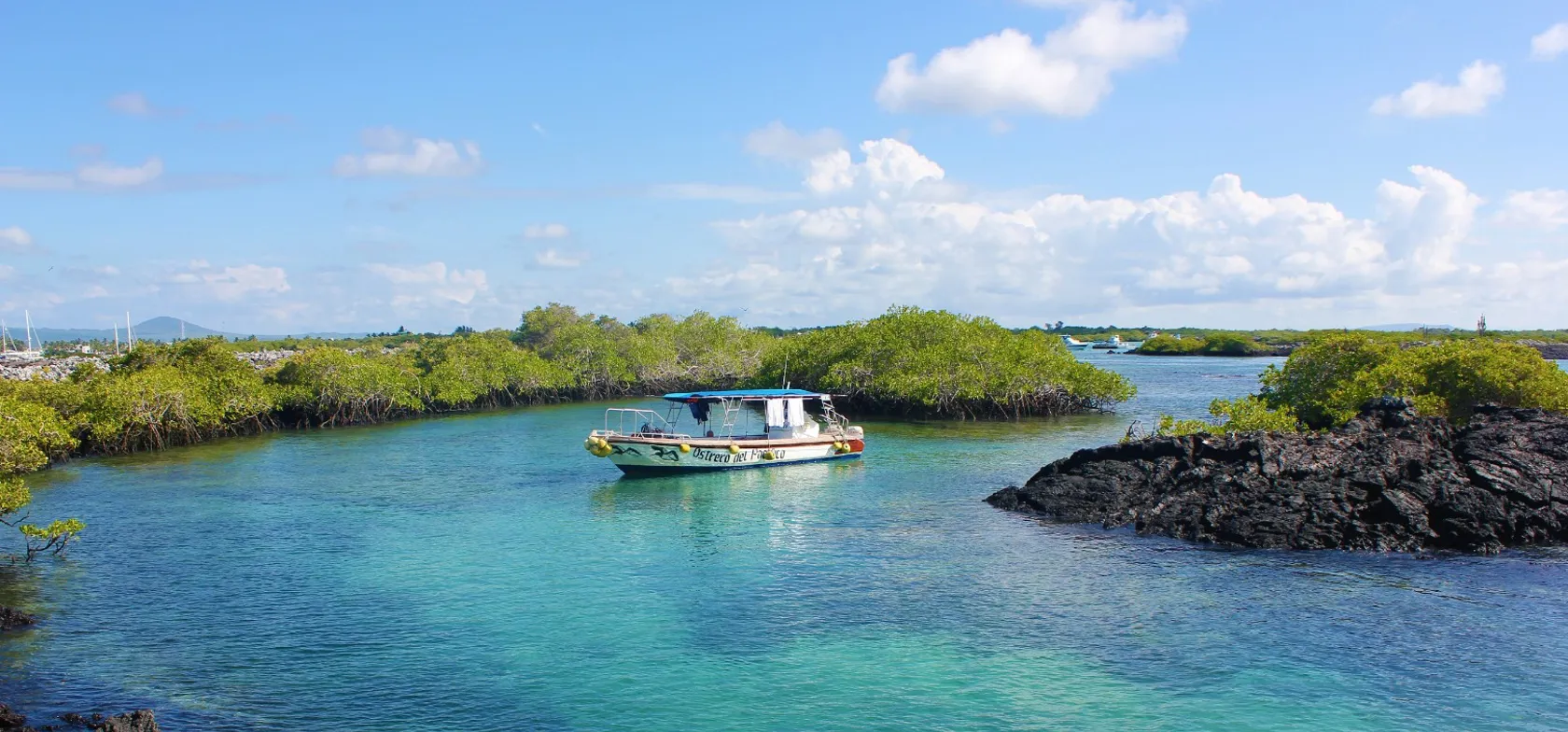 Vi snorkler ved Las Tintoreras. Her er et helt fantasisk liv under vandet. Foto Rune Bach Bjerrum