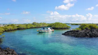 Vi snorkler ved Las Tintoreras. Her er et helt fantasisk liv under vandet. Foto Rune Bach Bjerrum