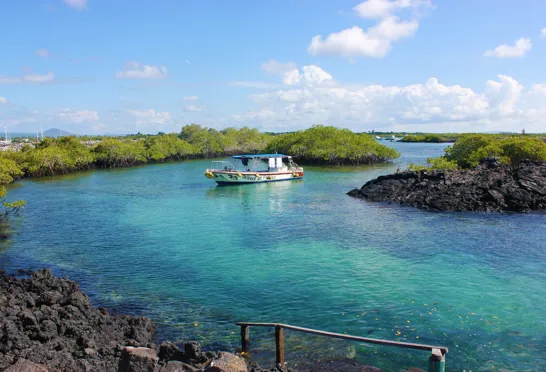 Vi snorkler ved Las Tintoreras. Her er et helt fantasisk liv under vandet. Foto Rune Bach Bjerrum