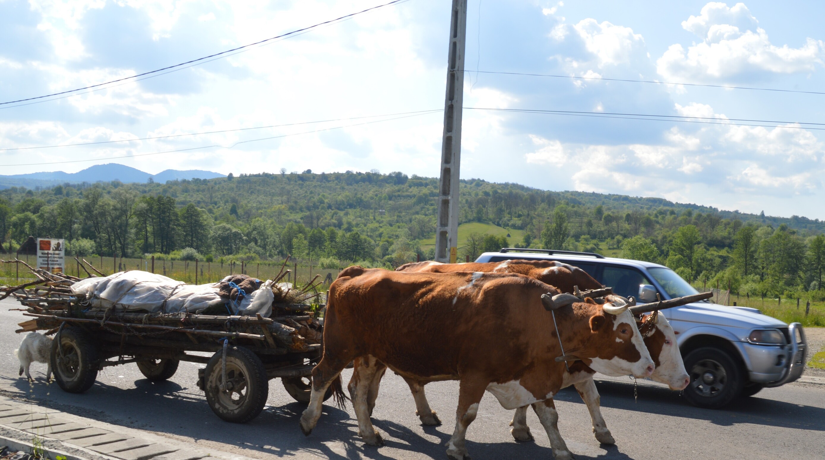 Landsbylivet i Rumænien har kontraster mellem det traditionelle og moderne samfund. Foto Carmen Vele 
