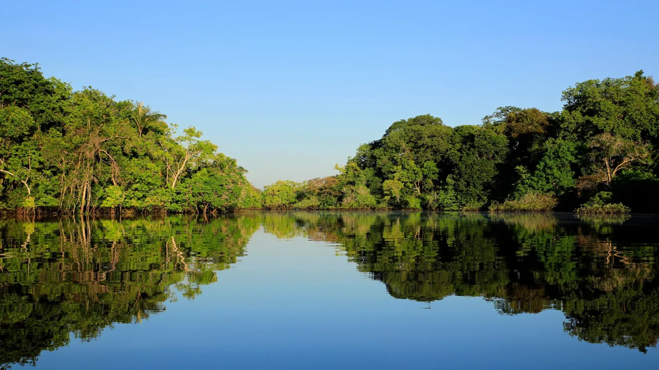 Vi tager på daglige ekspeditioner i verdens største regnskov - Amazonas. Foto Viktors Farmor