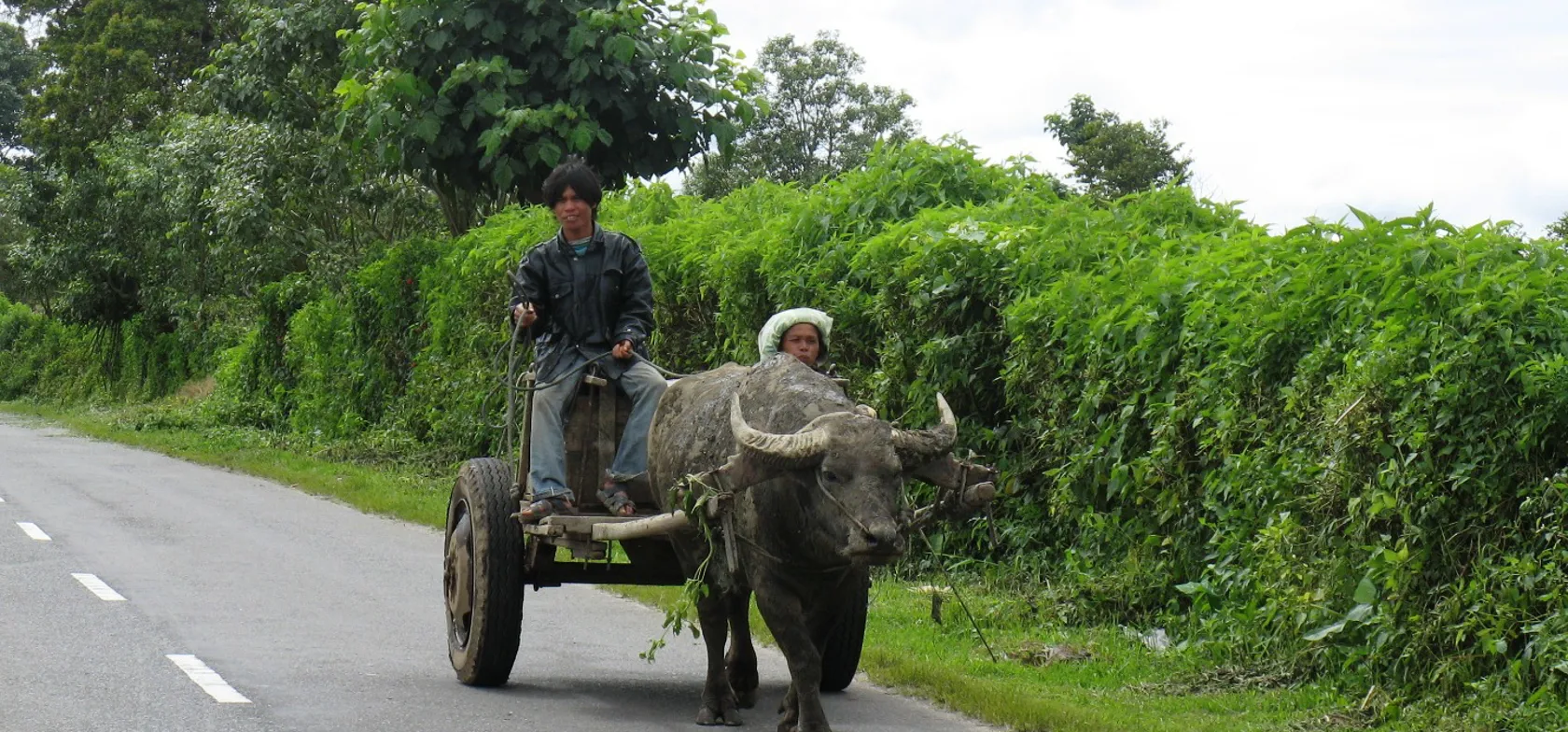 Indonesien har over 300 etniske grupper.