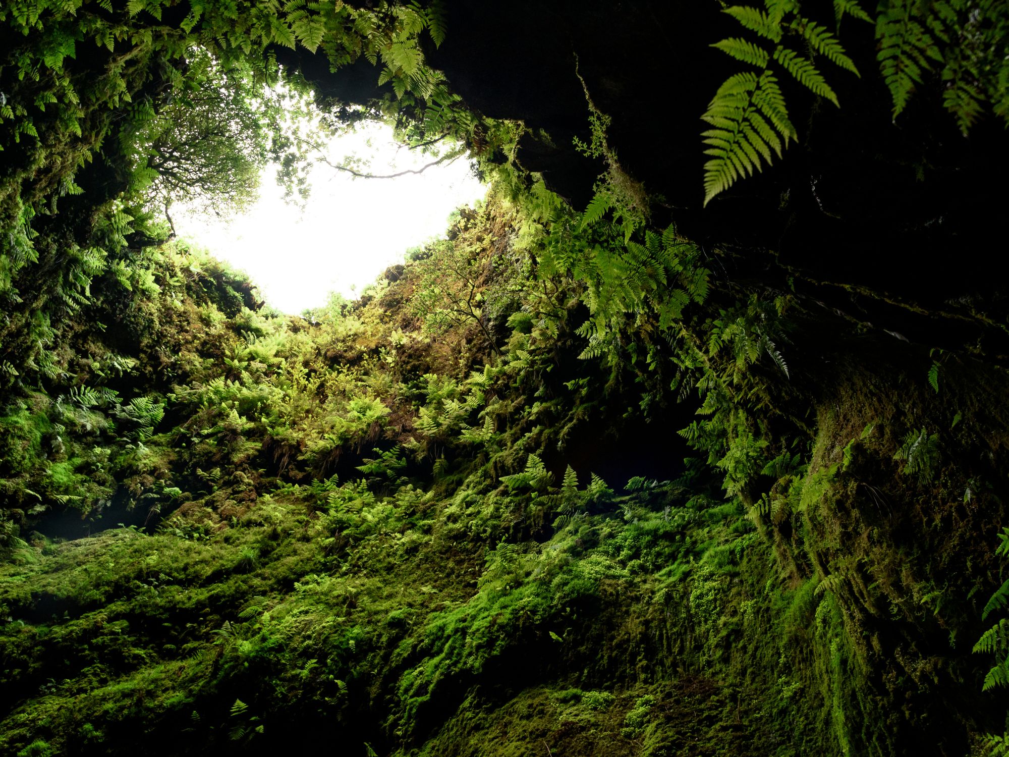 I toppen af Algar do Carvão er der åbent til himlen. Foto Viktors Farmor