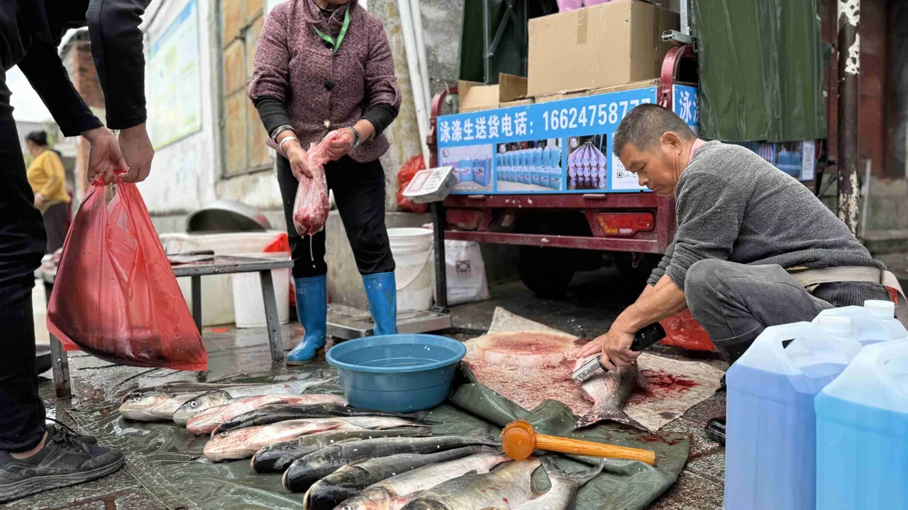 Man skal passe på, man ikke glider i en fisk på lørdagsmarked i Dali. Foto af Signe Bjørnskov Mynster