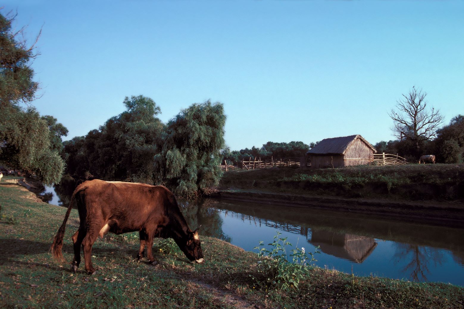 På vores sejlture rundt i deltaet kommer vi forbi små landsbyer. Foto Viktors Farmor