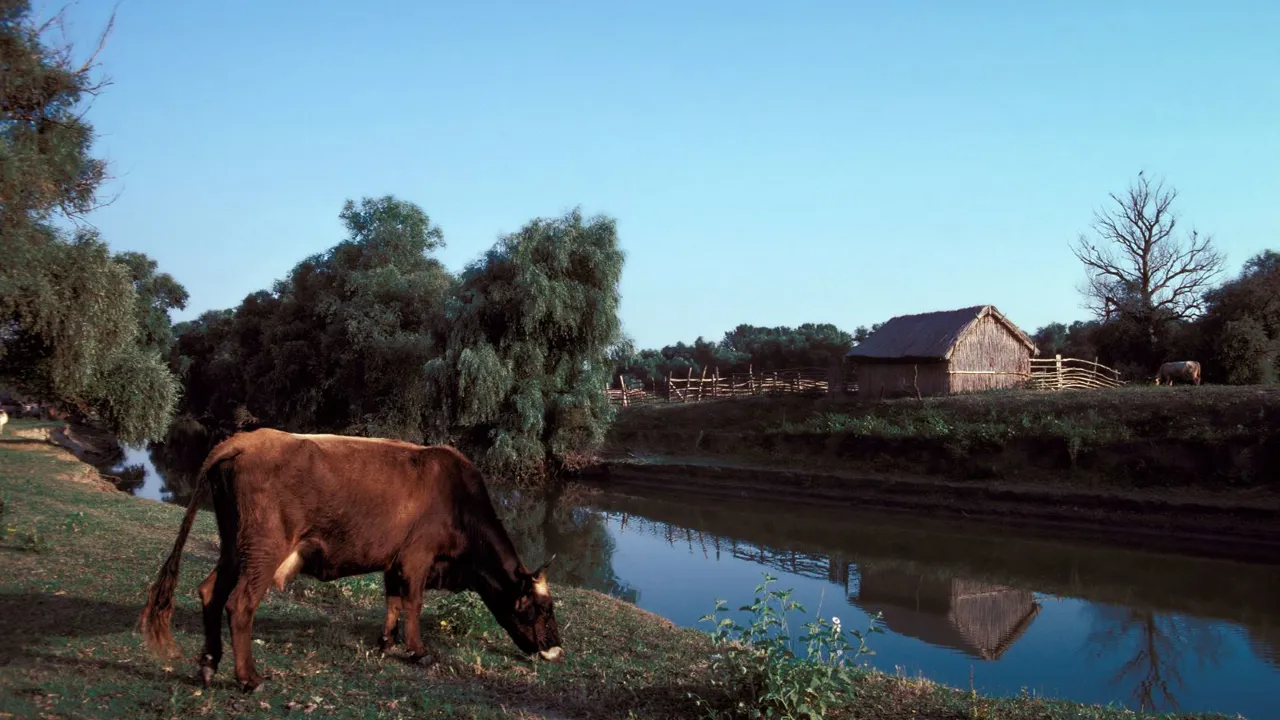 På vores sejlture rundt i deltaet kommer vi forbi små landsbyer. Foto Viktors Farmor