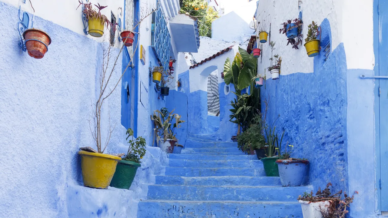 Oplev blåmalede trapper og blomsterkrukker i Chefchaouen. Foto Inge Lynggaard