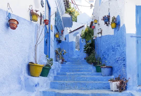 Oplev blåmalede trapper og blomsterkrukker i Chefchaouen. Foto Inge Lynggaard