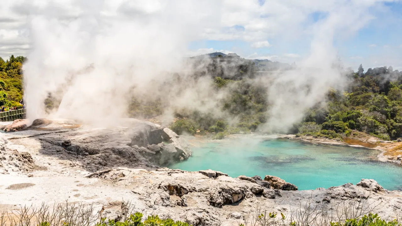 Oplev gejseren ved Rotorua. Foto Viktors Farmor