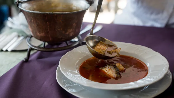 Riblja Čorba er en fiskesuppe, som laves på en blanding af forskellige fisk og skaldyr, grøntsager og urter. Foto Viktors Farmor